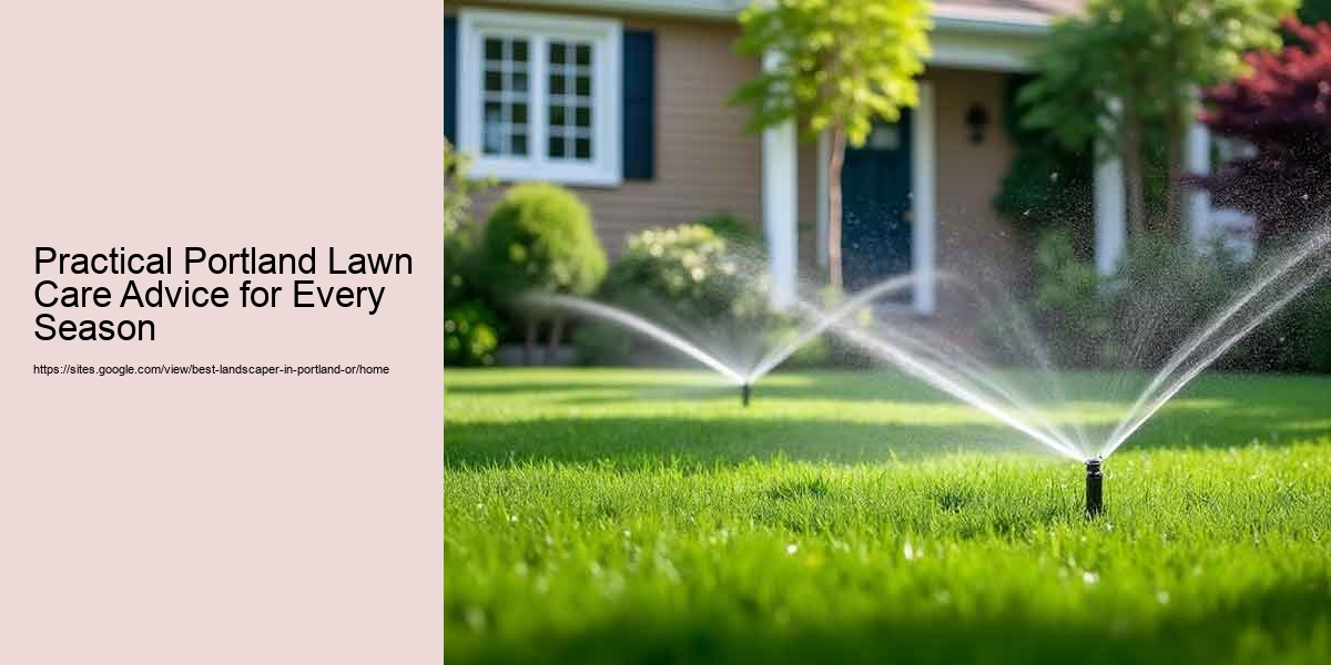 Practical Portland Lawn Care Advice for Every Season